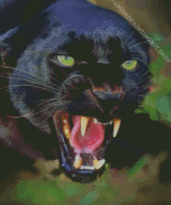 Black Jaguar Diamond Painting