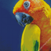 Close Up Sun Conure Diamond Painting