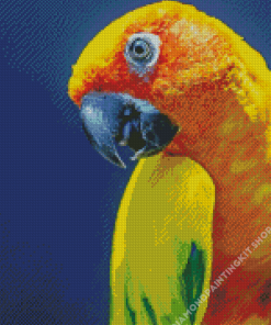 Close Up Sun Conure Diamond Painting