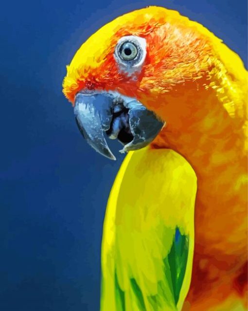 Close Up Sun Conure Diamond Painting