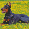 Cute Dobermann Diamond Painting