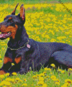 Cute Dobermann Diamond Painting