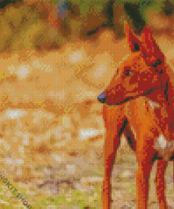 Podenco Dog Animal Diamond Painting