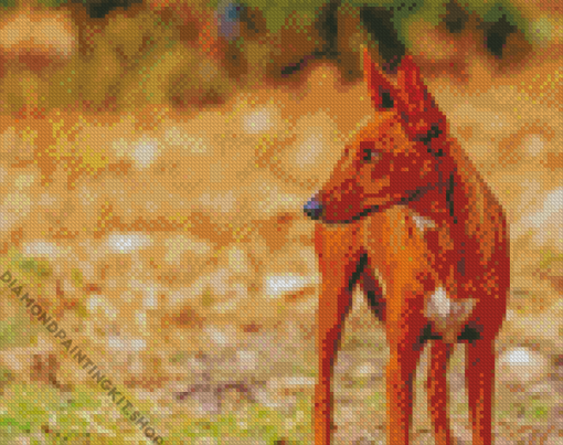 Podenco Dog Animal Diamond Painting