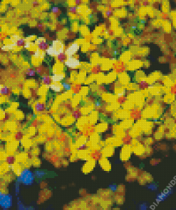 Ethiopian Flower Diamond Painting