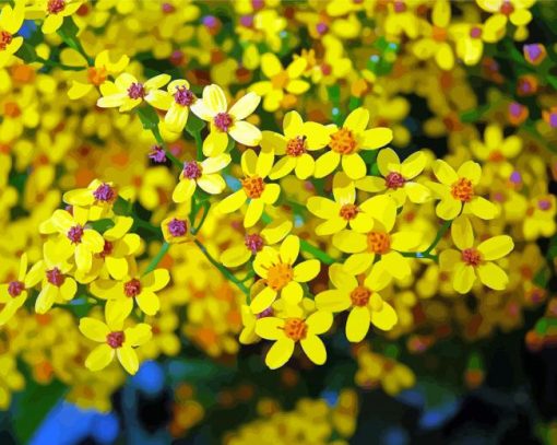 Ethiopian Flower Diamond Painting