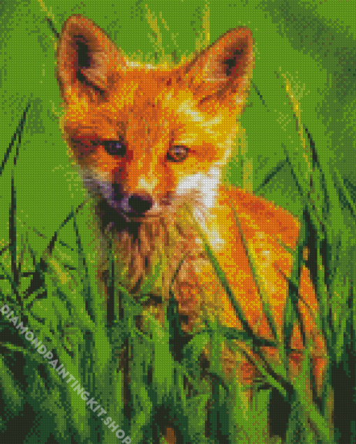 Orange Baby Fox Diamond Painting