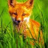 Orange Baby Fox Diamond Painting