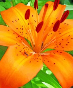 Orange Tiger Lilies Diamond Painting