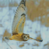 Owl Staring Diamond Painting