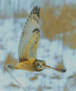 Owl Staring Diamond Painting