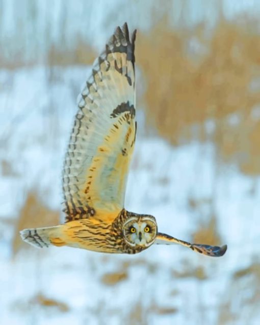 Owl Staring Diamond Painting