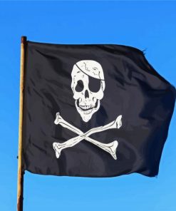 Pirate Flag Diamond Painting