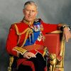 Prince Charles Prince Of Wales Diamond Painting