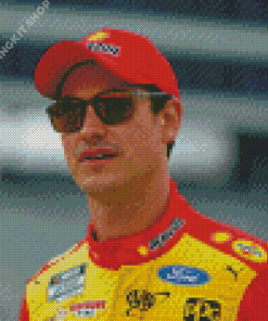 Race Car Driver Joey Logano Diamond Painting