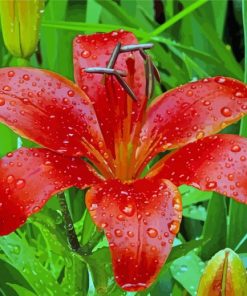 Red Lily Flower Plant Diamond Painting