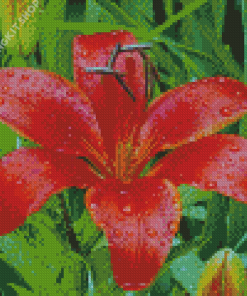 Red Lily Flower Plant Diamond Painting