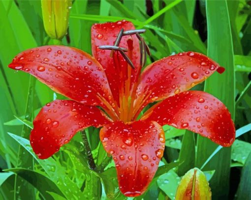 Red Lily Flower Plant Diamond Painting