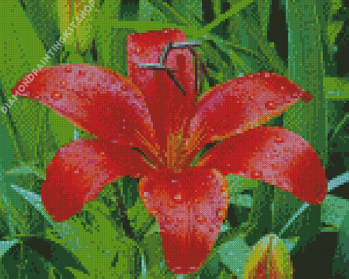 Red Lily Flower Plant Diamond Painting