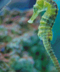 Sea Horse Art Diamond Painting