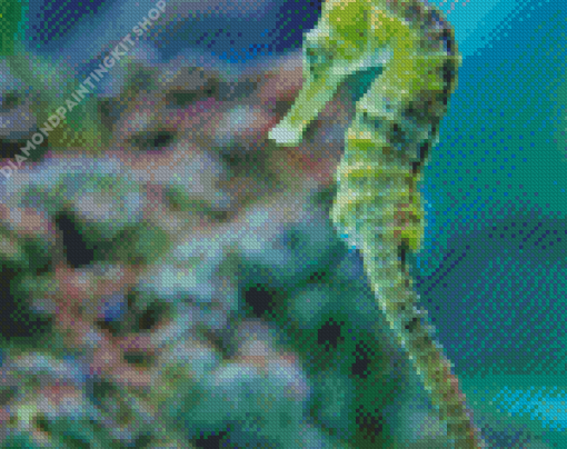 Sea Horse Art Diamond Painting