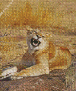 Smiling Lioness Animal Diamond Painting