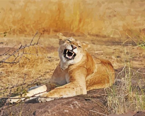 Smiling Lioness Animal Diamond Painting