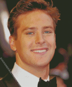 The Handsome Armie Hammer Diamond Painting