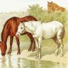 Vintage Horses Diamond Painting