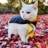 White Hufflepuff Kitty Diamond Painting