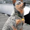 Australian Cattle Dog Sitting Diamond Painting