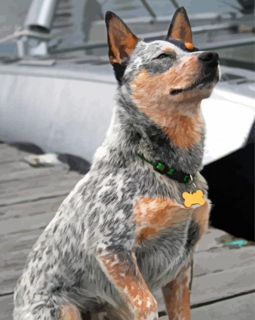 Australian Cattle Dog Sitting Diamond Painting