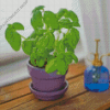 Basil Plant In Pot Diamond Painting