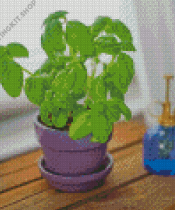 Basil Plant In Pot Diamond Painting