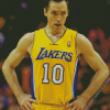 Basketball Player Steve Nash Diamond Painting