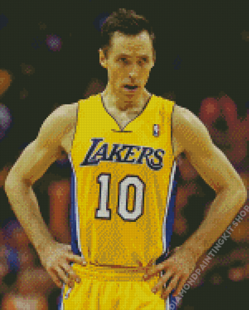 Basketball Player Steve Nash Diamond Painting