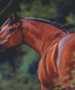 Bay Horse Animal Diamond Painting