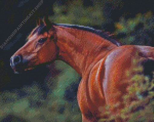 Bay Horse Animal Diamond Painting