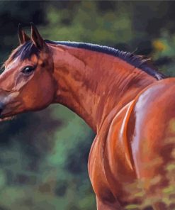 Bay Horse Animal Diamond Painting