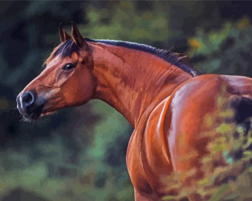 Bay Horse Animal Diamond Painting