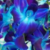 Blue Purple Orchid Diamond Painting