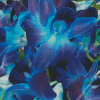 Blue Purple Orchid Diamond Painting