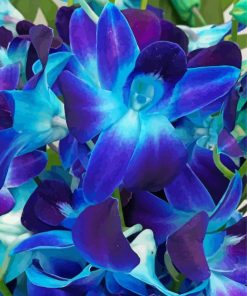 Blue Purple Orchid Diamond Painting