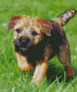 Border Terrier Puppy Diamond Painting