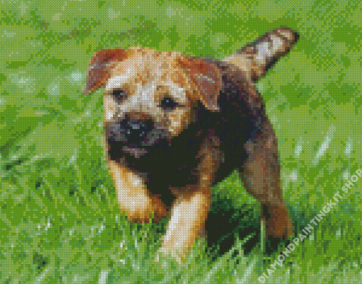 Border Terrier Puppy Diamond Painting