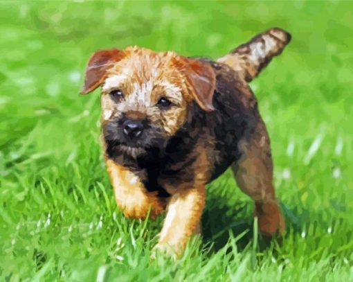 Border Terrier Puppy Diamond Painting