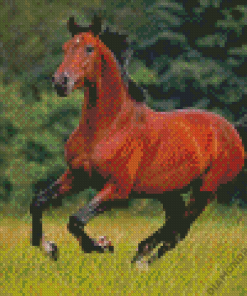 Brown Bay Horse Diamond Painting