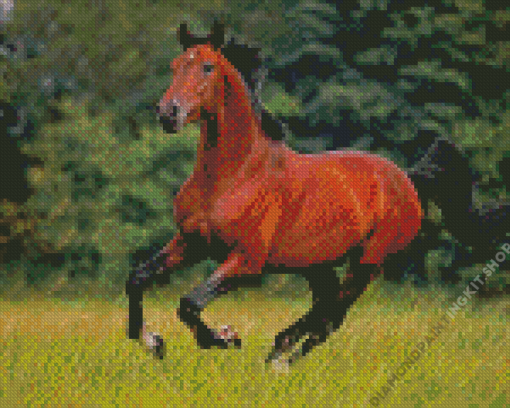 Brown Bay Horse Diamond Painting