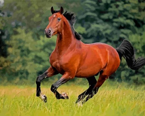 Brown Bay Horse Diamond Painting