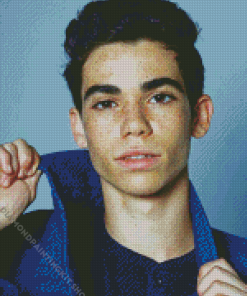 Cameron Boyce Diamond Painting